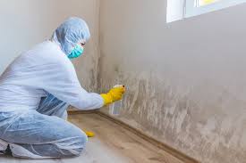 Best Residential Mold Inspection & Testing  in , MS